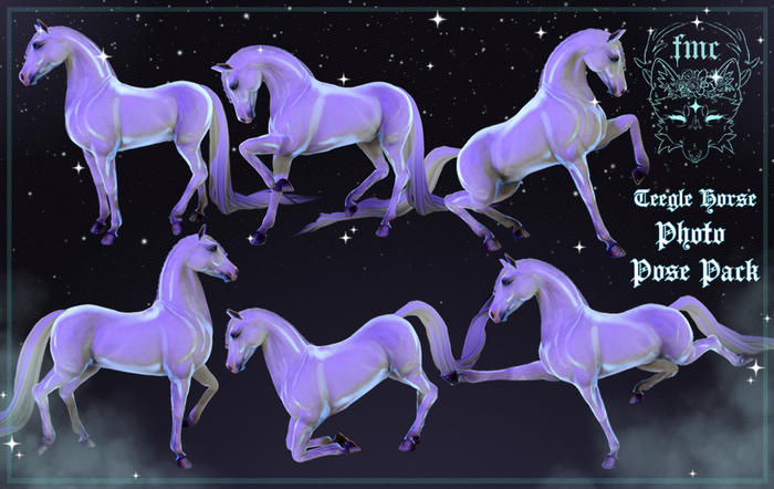 [FMC] Teegle Horse Photo poses