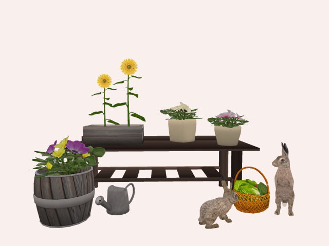Garden Table  with hare