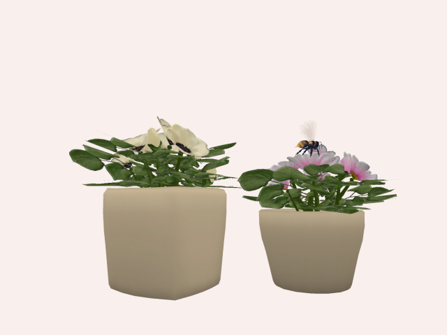 two mesh plants with bee