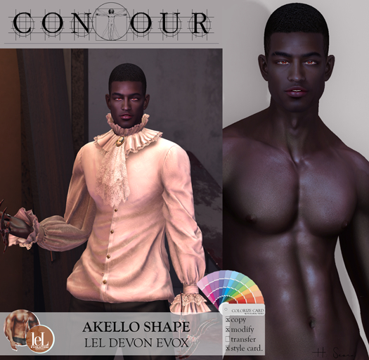 Contour Shape: Akello - Lelutka Devon (evoX) W/ Colorize card.