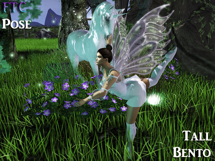 FTC Pose Ballerina