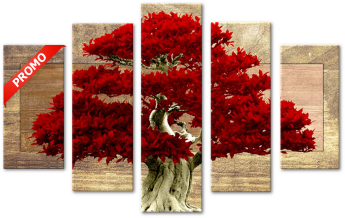 Bonsai