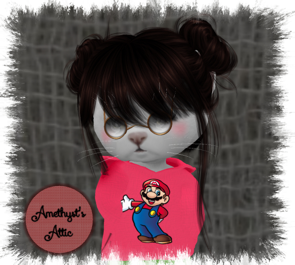 AA-Classic Video Sweatshirt with Hud
