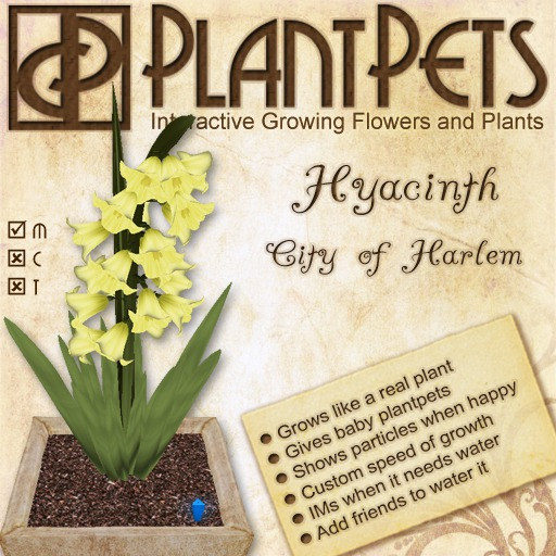 PlantPet Seed [Hyacinth *City of Harlem*] Updated