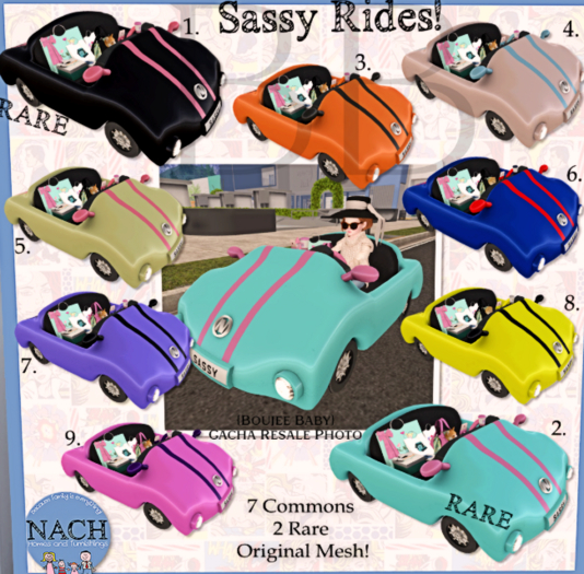 1. NACH Sassy Car Black (attach me) RARE