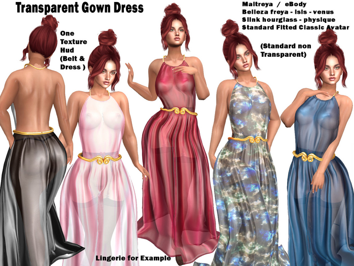 Transparent Gown Dress