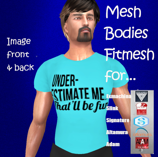 UNDER-ESTIMATE ME FUN GUYS CLASSY DESIGNER T-SHIRT 5 Rigged & 5 Fitmesh Sizes BoM & Classic Alpha! Image Both Sides