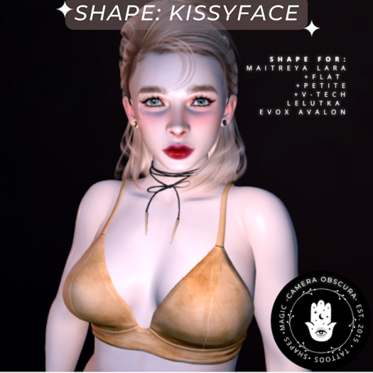 Camera Obscura Shapes: *Kissyface*