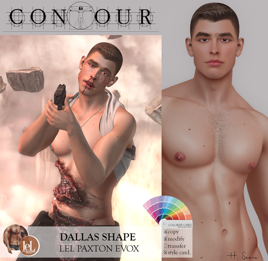 Contour Shape: Dallas - Lelutka Paxton (evoX)  W/Colorize Card
