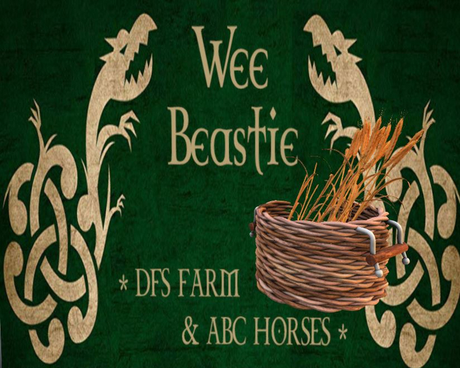 DFS Barley Basket X5