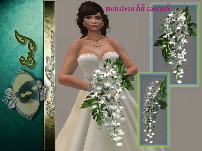 monstera lili  cascade