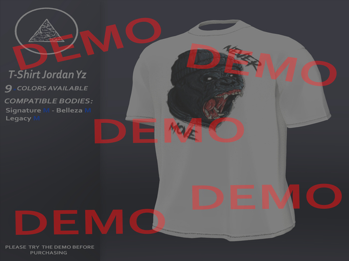 PYRAMID LOST - T-Shirt Jordan Yz ''DEMO''