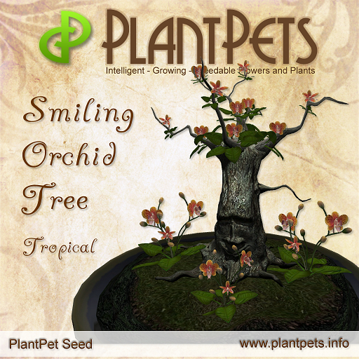 SUMMER SALE - PlantPet Seed [Smiling Orchid Tree *Tropical*] - common - free breeding - no extra costs