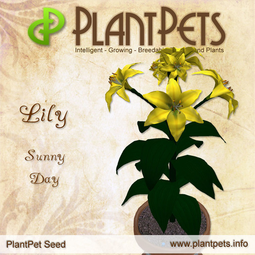 SUMMER SALE - PlantPet Seed [Lily *Sunny Day*] - common - free breeding - no extra costs