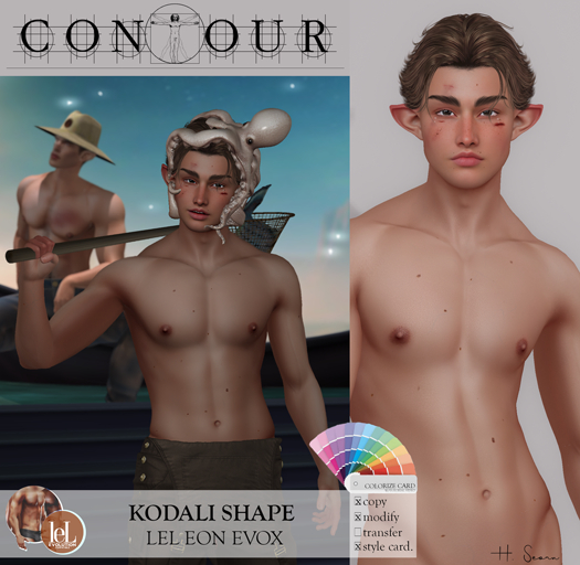 Contour Shape: Kodali - Lelutka Eon  (evoX) W/Colorize Card