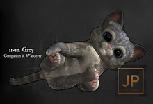 11. HEXtraordinary - Grey Kitten - Companion