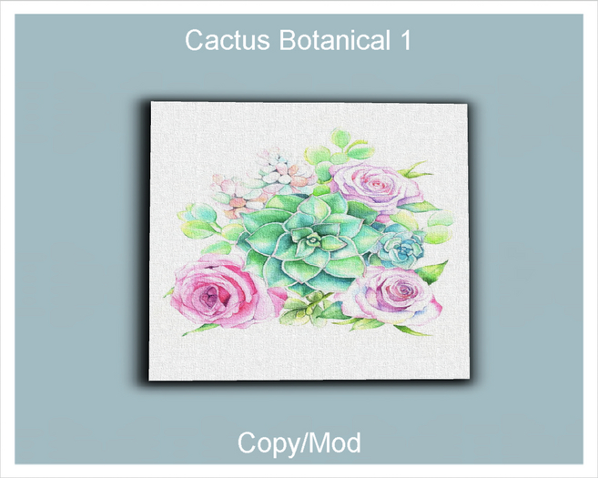*CC* Cactus Botanical 1 