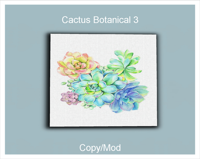 *CC* Cactus Botanical 3 