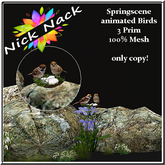 Springscene-birds