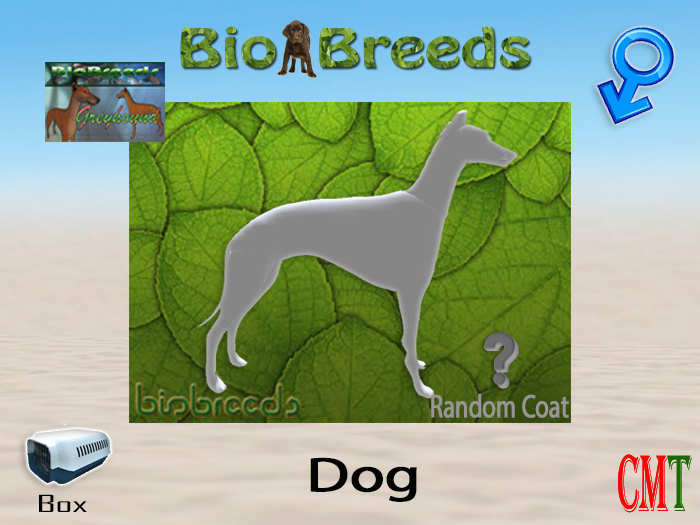 BioBreeds BB GH Box Male