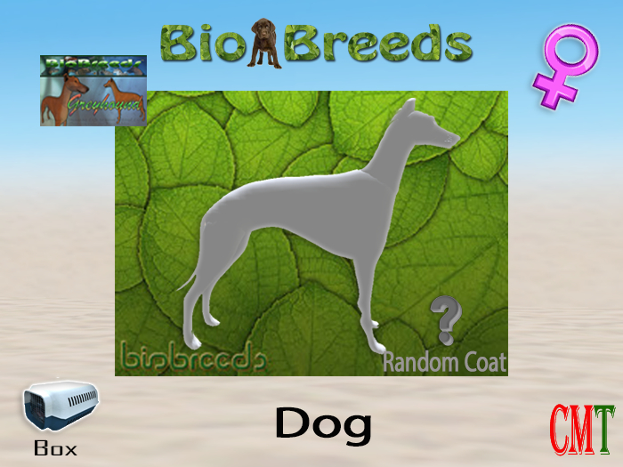 BioBreeds BB GH Box Female