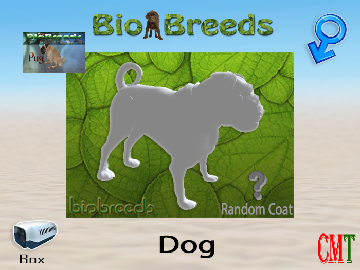 BioBreeds BB Pug Box Male