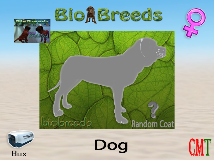 BioBreeds BB Mastiff Box Female