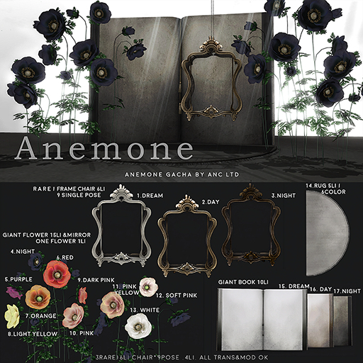 2){anc} anemone / Derain- Varane's  frame chair (day) RARE