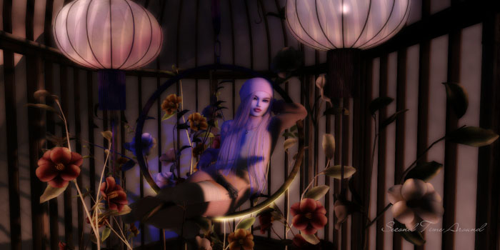 1){anc} CAMELLIA.gazebo RARE
