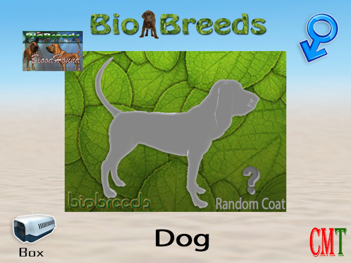 BioBreeds BB BLH Box Male