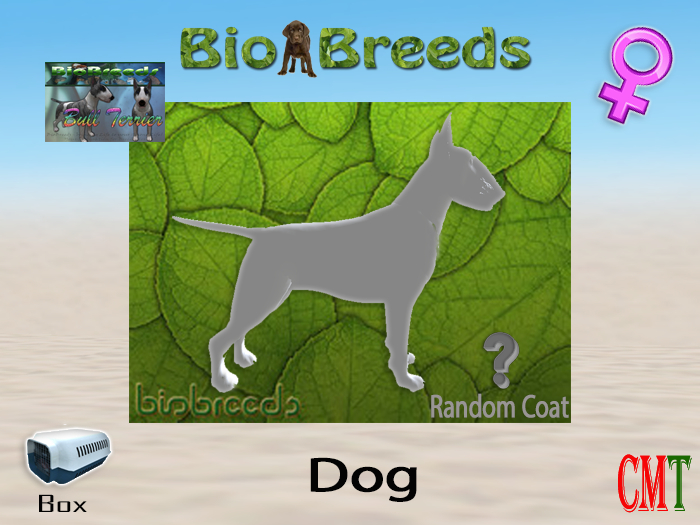 BioBreeds BB BullT Box Female