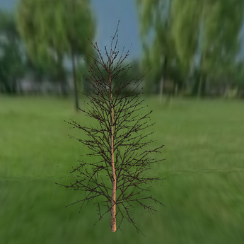 Second Life Marketplace - Forest tree set