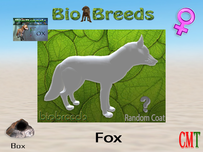 BioBreeds BB Fox Box Female