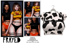 Frayed - Stevie Top - Cow