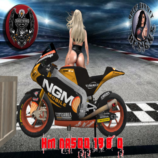 HM NR500 1980 SC