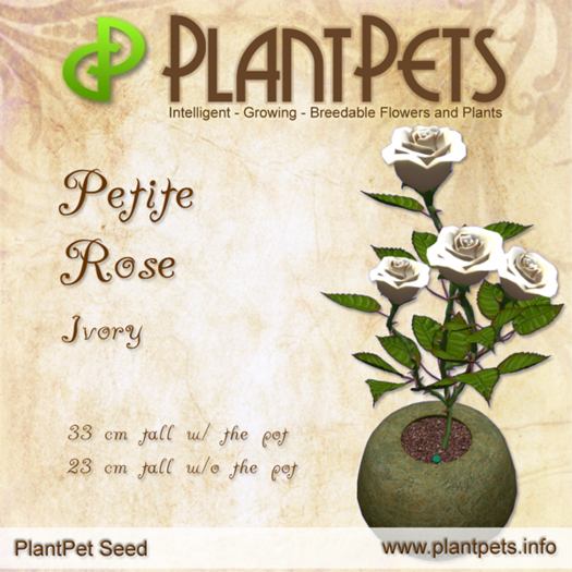PlantPet Seed [Petite Rose *Ivory*] - RARE