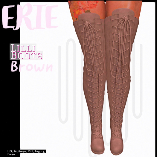 Erie[Lilli boots][brown]