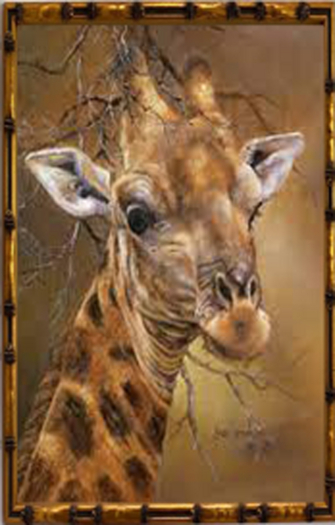 Girafe
