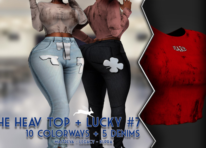 AxH - The Red Heav Sheer Mesh Top