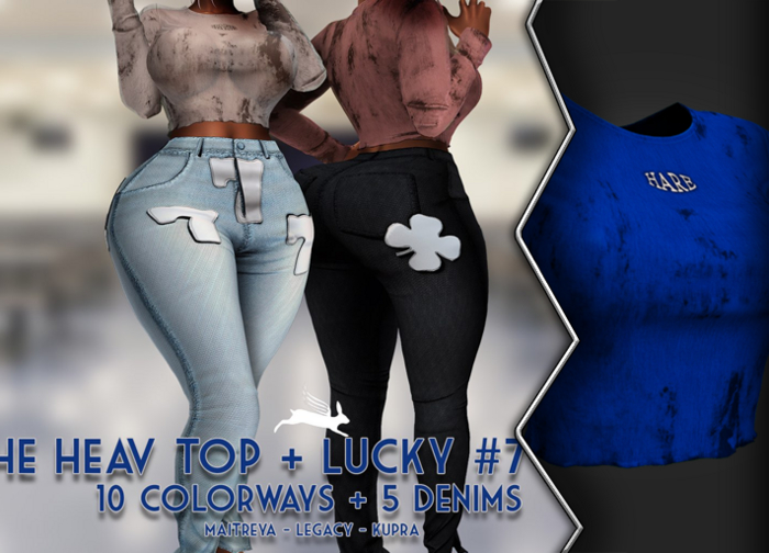 AxH - The Blue Heav Sheer Mesh Top