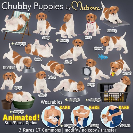 18-Mutresse-Snuggling-Chubby Puppies RARE