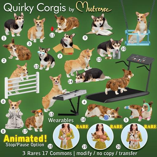 18-Mutresse-Quirky Corgis RARE
