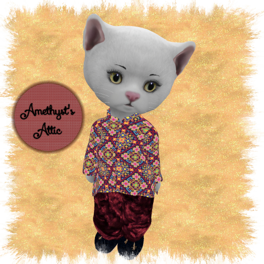 AA-Indian Style Pantsuit-Dinkies
