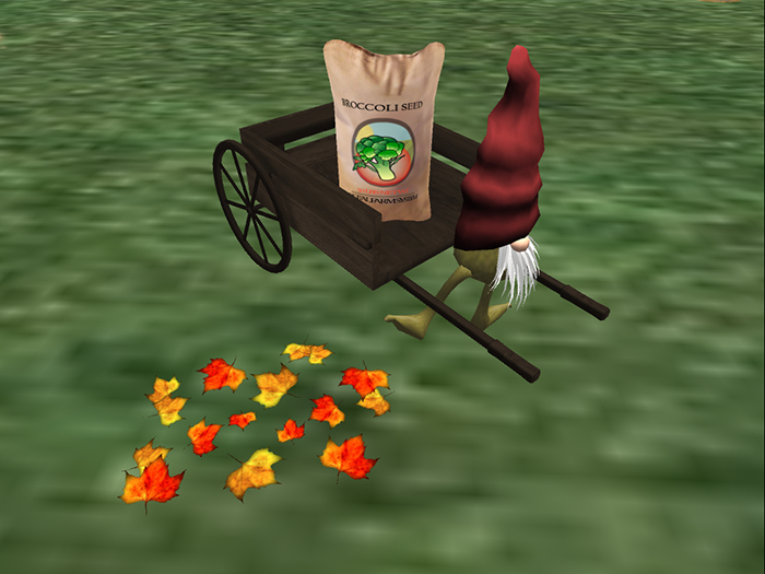 DFS Broccoli Seed V2.2