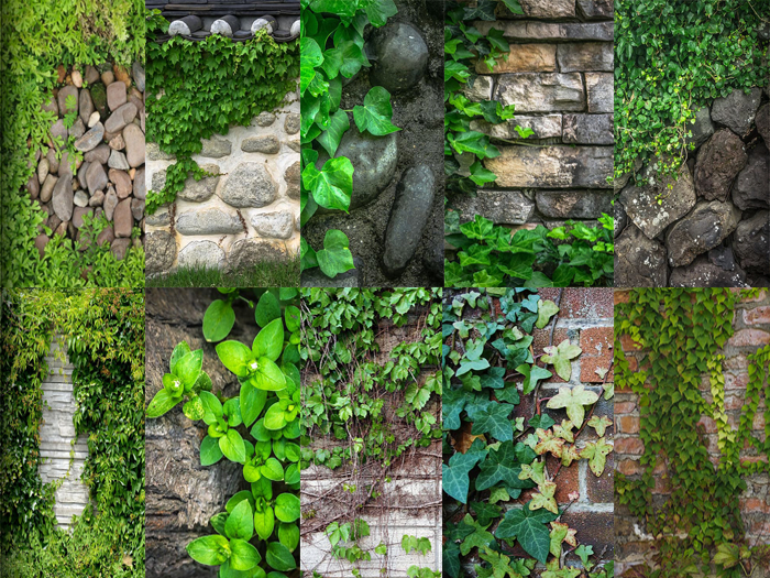Wall Nature Textures-FULL PERM