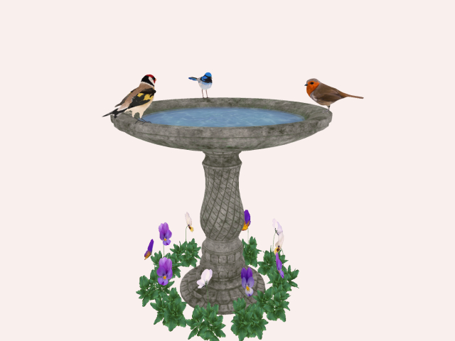 Bird bath With Cute Birds