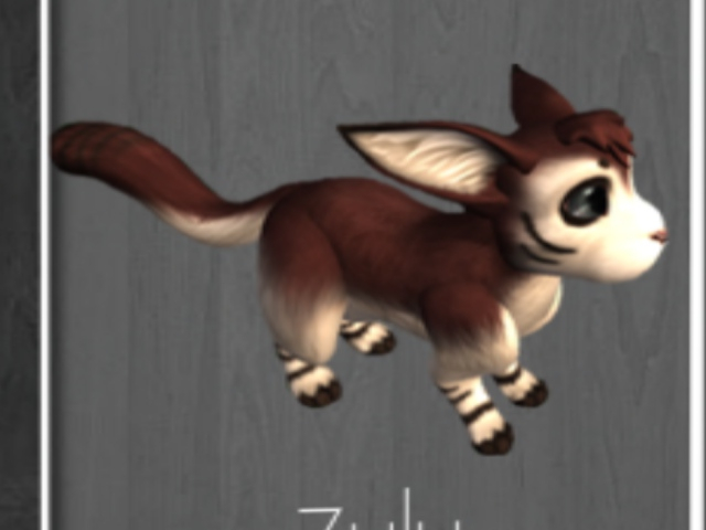 Zulu (F) Friendly Meeroo Nest ID #8542664