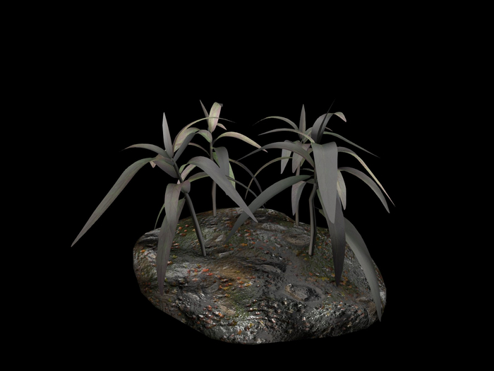 Full Perm Plant 006 Short Reeds "Calamagrostis"