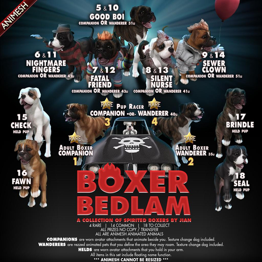 JIAN Boxer Bedlam 15. Check Held Pup