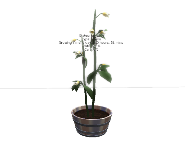DFS Vanilla Plant (FSB#27)